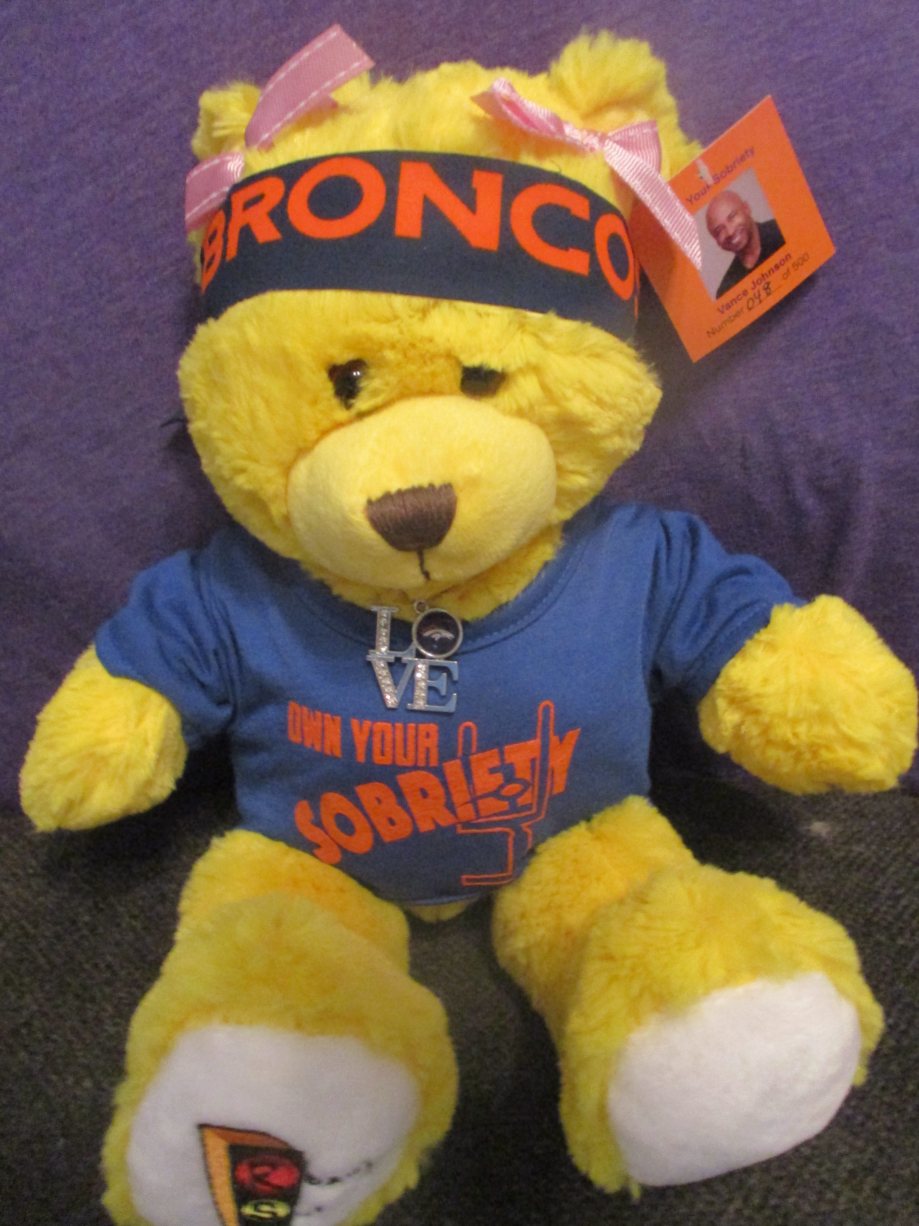 denver broncos teddy bear