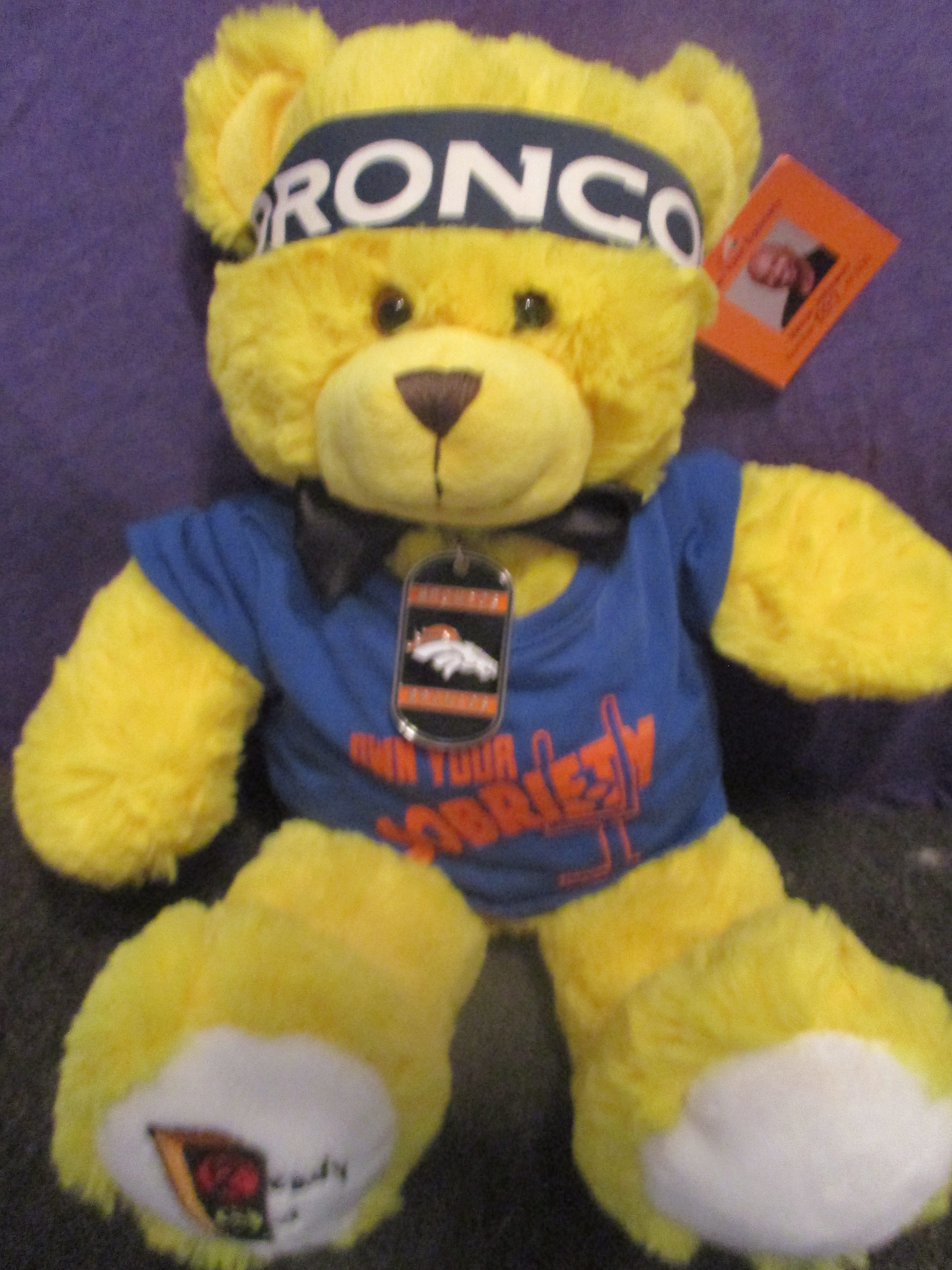 denver broncos teddy bear